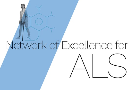 25th Annual NEALS Meeting | Volv Global Newsletter October 2026