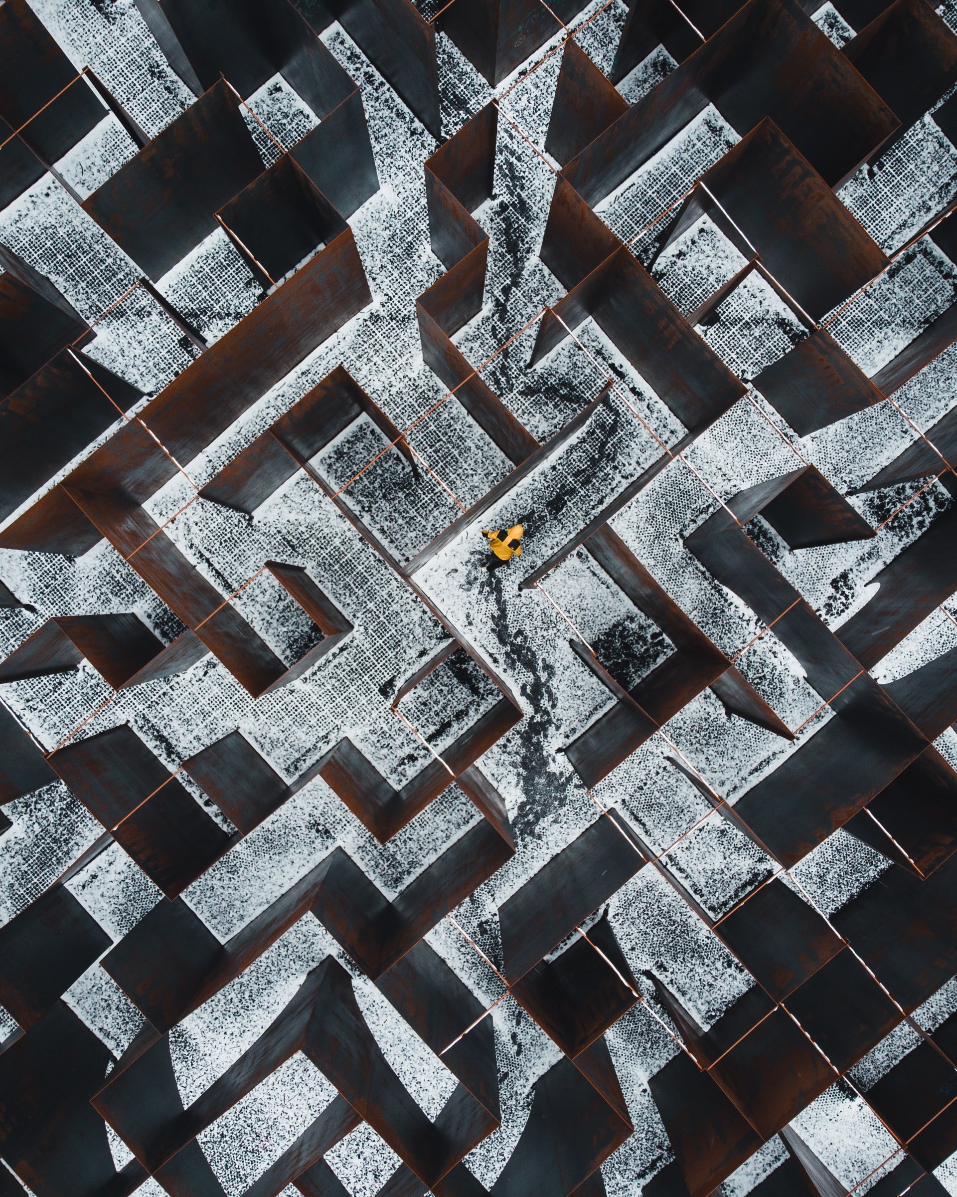dan-asaki-bwt0XBiKaTc-unsplash (1)